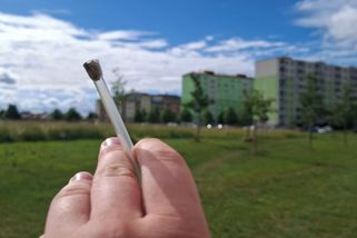 Šest dní k závislosti. Děti popsaly reportérovi peklo syntetické marihuany - Seznam Zprávy